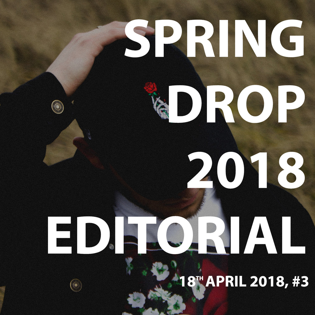 Spring 2018 Editorial (Journal #3)